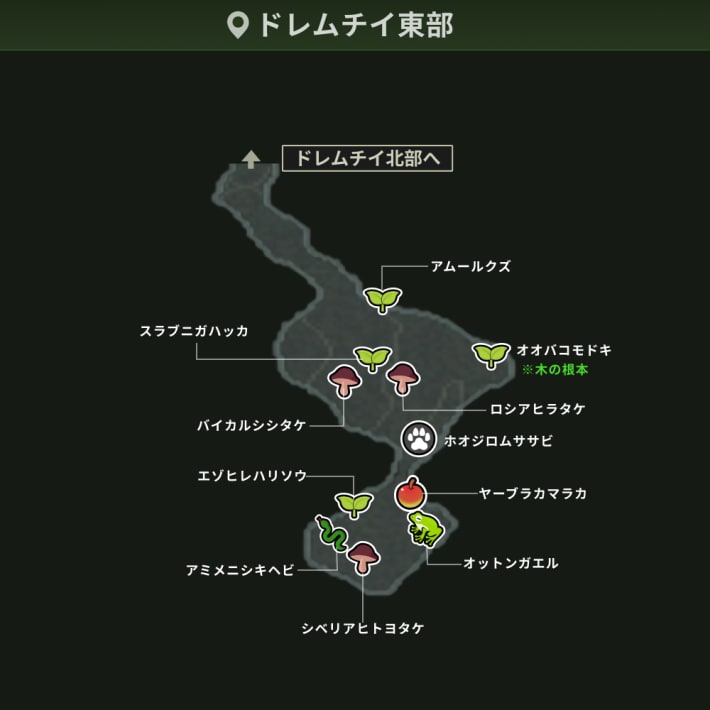 ドレムチイ東部＿動植物