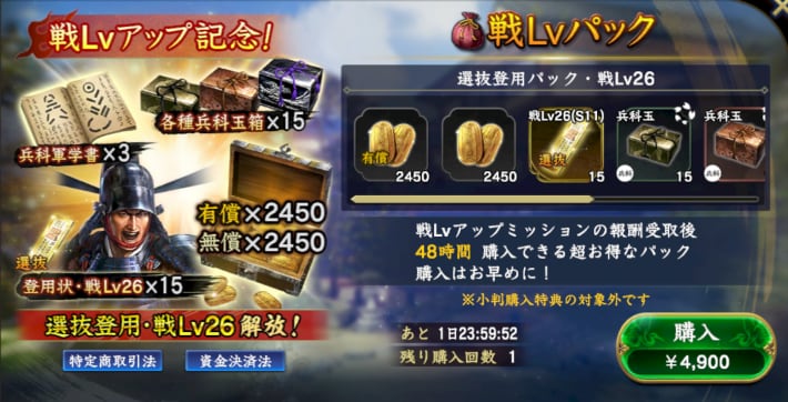 戦Lvパック