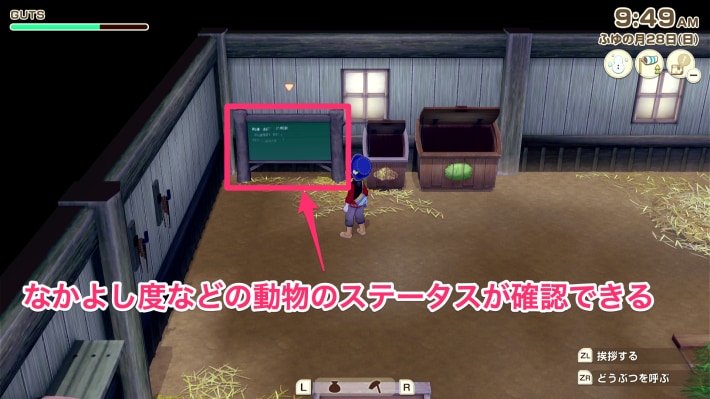 牧場物語 風のグランドバザールの動物掲示板