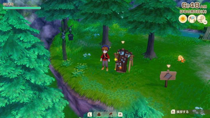 牧場物語 風のグランドバザールのきのこ栽培の場所