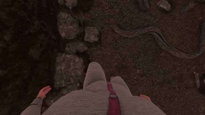 A Very Unprofessional Baby Steps Developer Overview