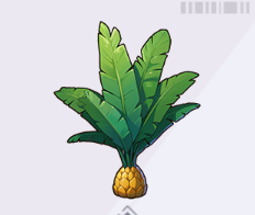 大きな葉のナツメヤシの木