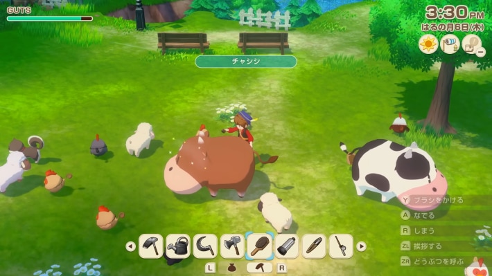牧場物語 風のグランドバザールの動物