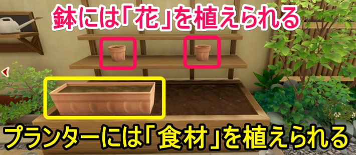 栽培のやり方と種の入手方法の画像