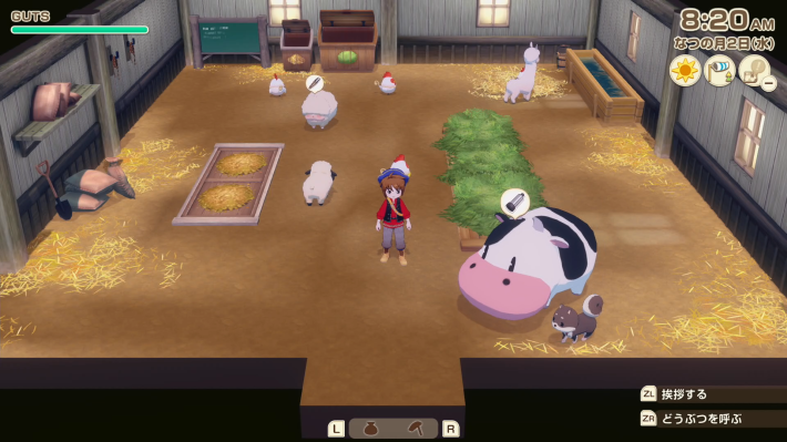 牧場物語 風のグランドバザールのどうぶつ小屋