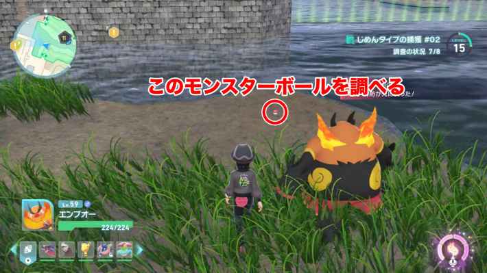 ガラルマッギョの現地画像