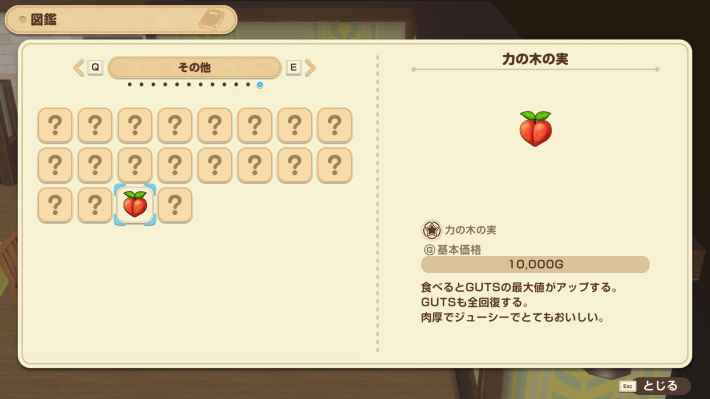 牧場物語 風のグランドバザールの力の木の実