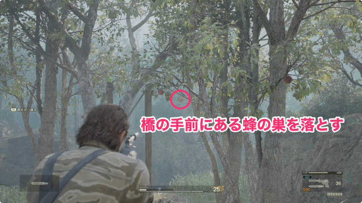 蜂の巣の画像