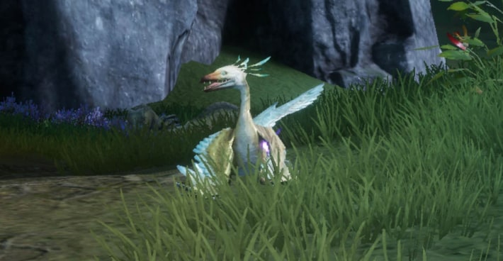 Golden Wingdrake in the field