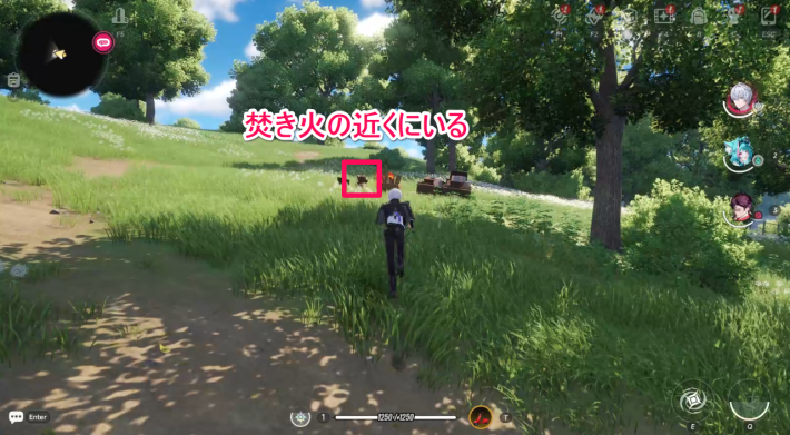 NTEの画像