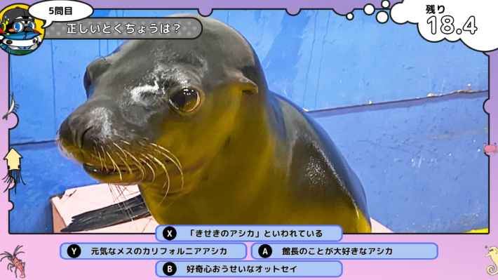 いつでも伊勢シーパラダイス 距離感ゼロの水族館図鑑