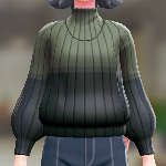 ポケモンZAのハイネックツートンセーター(グリーン×ネイビー)