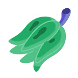 いじげんカシブのみ