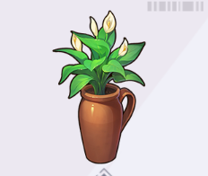 陶器の瓶と白炎草