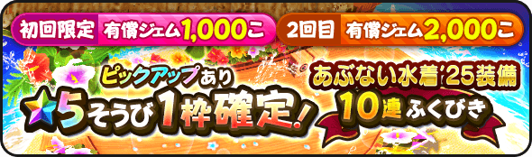 2回限定の星5確定ガチャ