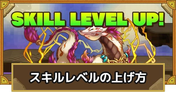 スキルレベルの上げ方