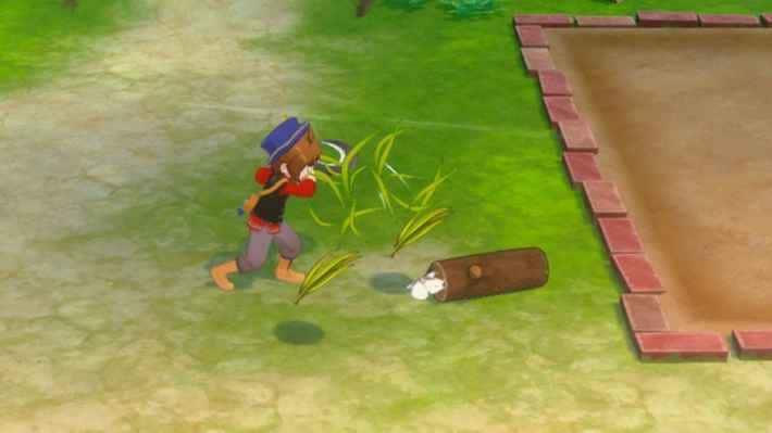 牧場物語 風のグランドバザールで道具を使って採取物を回収