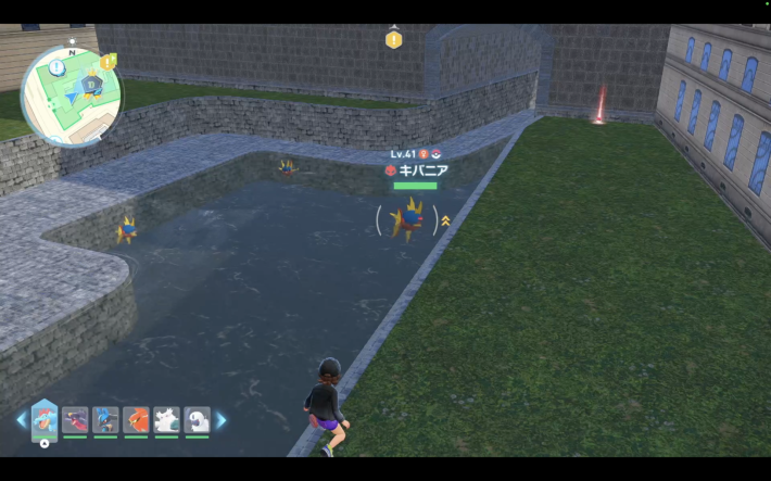 ポケモンzaのキバニア現地