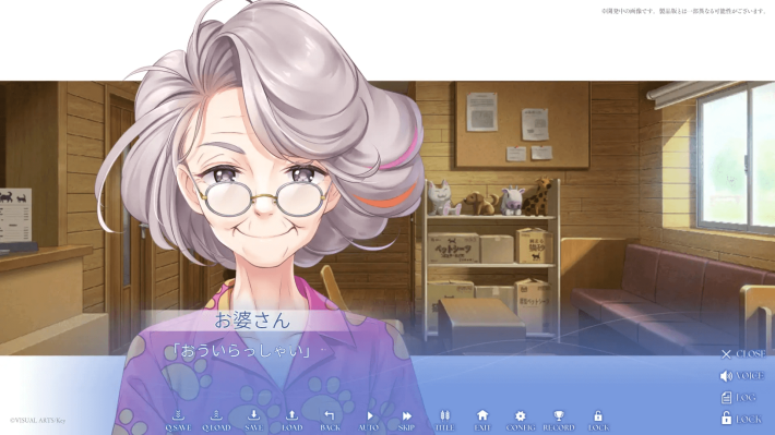 キャプション１５－１