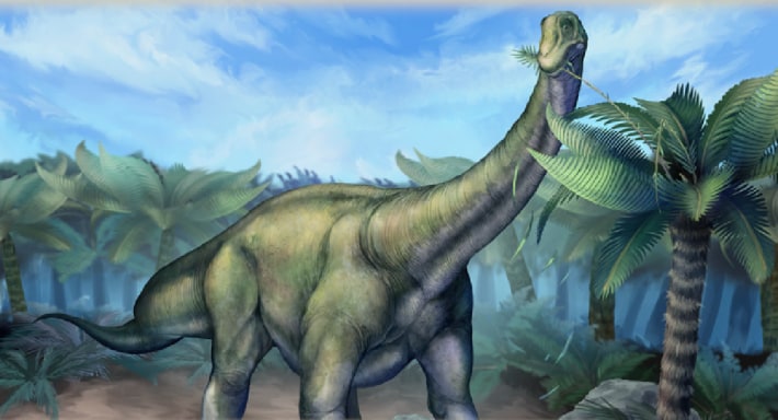 タンバリュウ