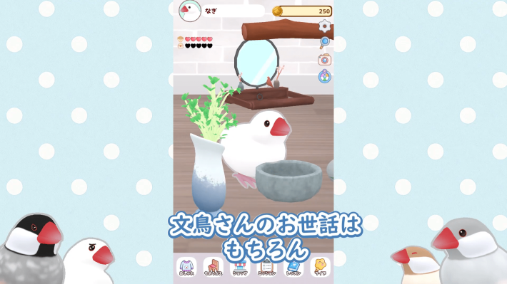 しあわせ文鳥LIFE