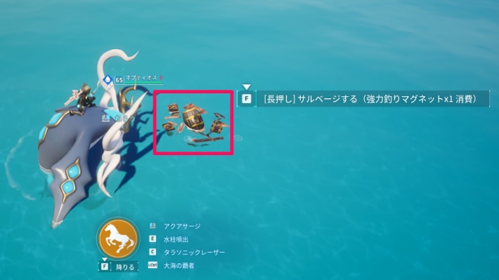 サルベージの画像
