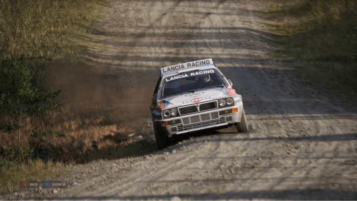 Assetto Corsa Rallyの画像