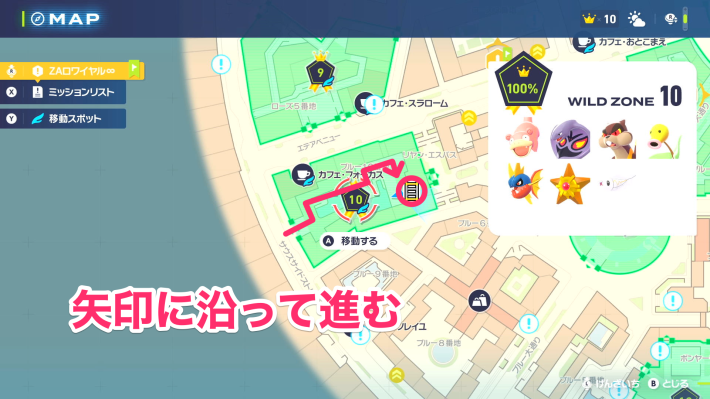 ワイルドゾーン10のはしご