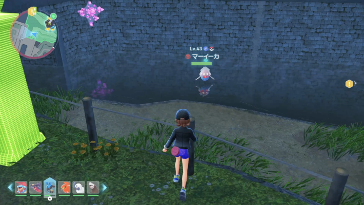 ポケモンZAのマーイーカオヤブンの現地