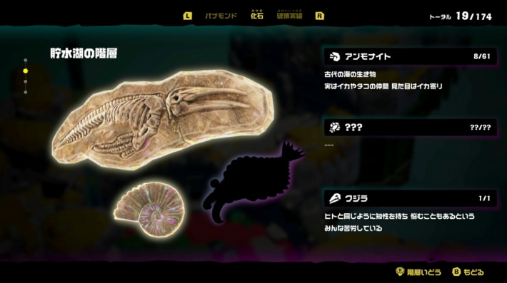 化石には様々な種類が存在する