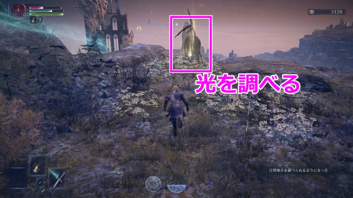 墓石を調べる