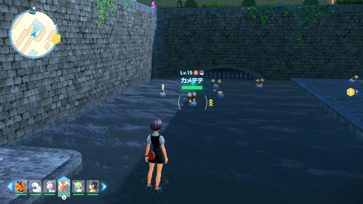 ポケモンZAのカメテテの場所