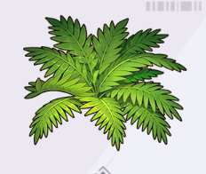 深緑のシダの茂み