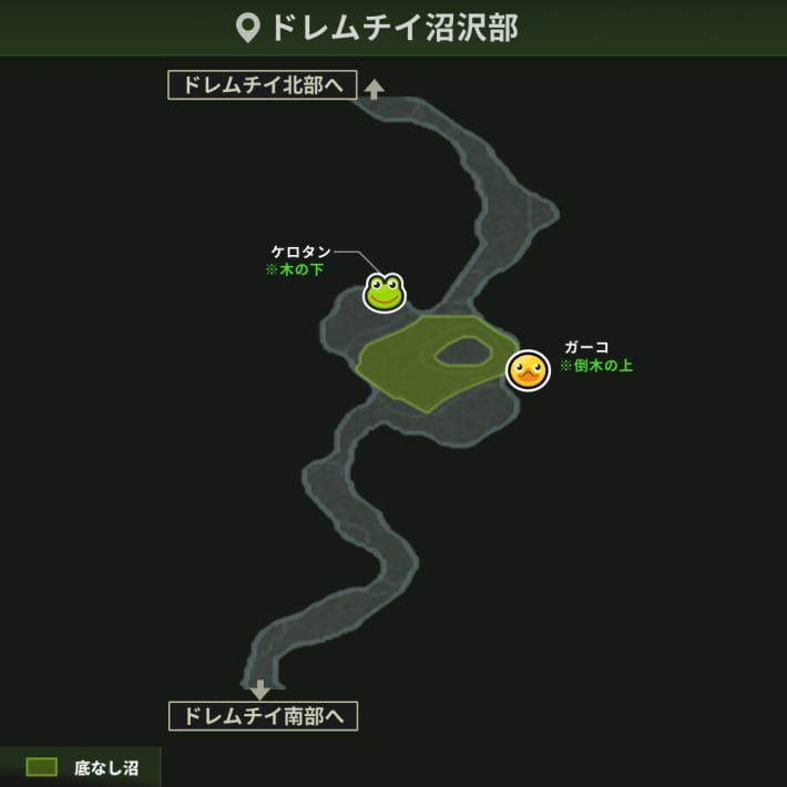 ドレムチイ沼沢部＿アイテム2