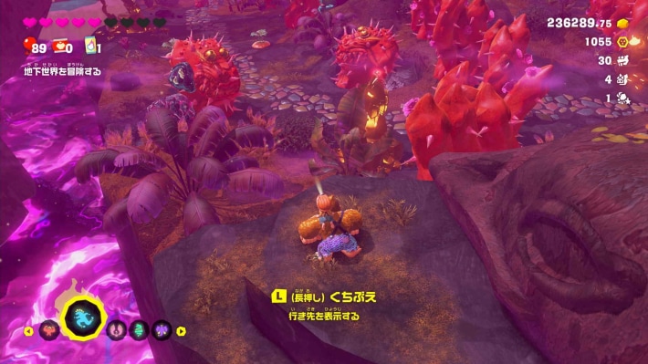 現地画像