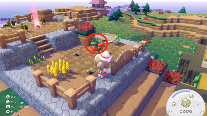 ぽこあポケモン】トマトの入手方法と効率的な集め方【ぽこポケ