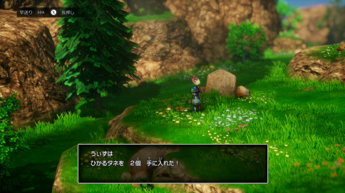 ドラクエ1リメイクのひかるタネの外観