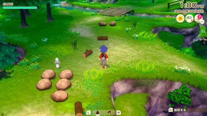 牧場物語 風のグランドバザールのケケポロ見た目