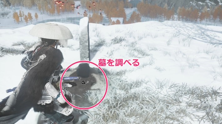 赤い雪虫を追って墓を調べる