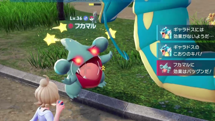 ポケモンZAフカマルバトル