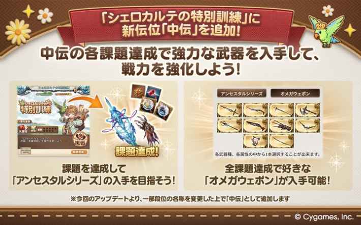 シェロカルテの特別訓練中伝