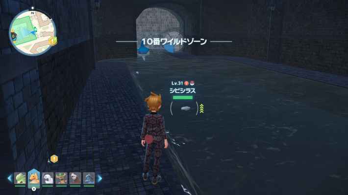 ポケモンZAのシビシラスの場所