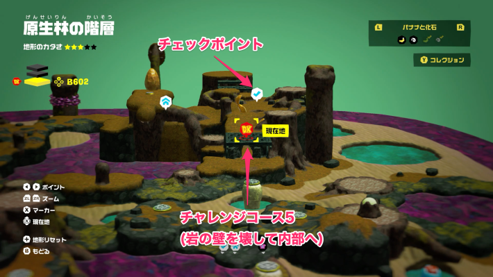 原生林の階層チャレンジコース5