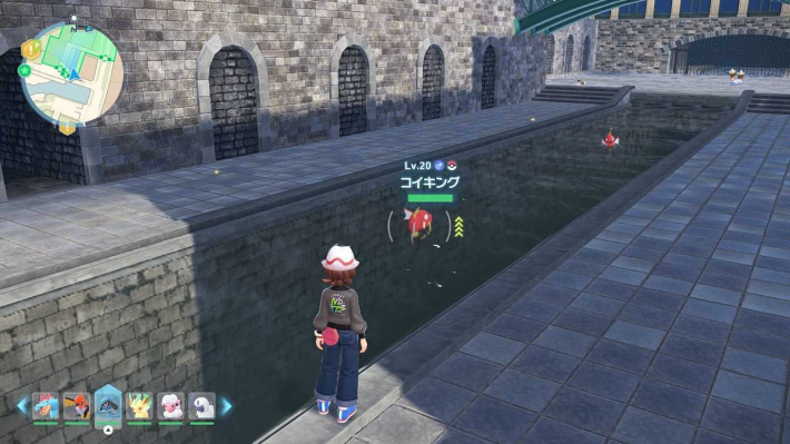 ポケモンZAコイキングの出現場所現地