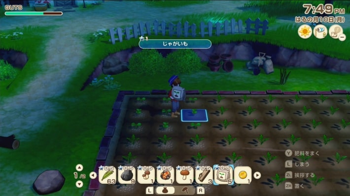 牧場物語 風のグランドバザールの作物を育てる