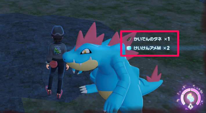 けいけんアメや皆伝のタネ
