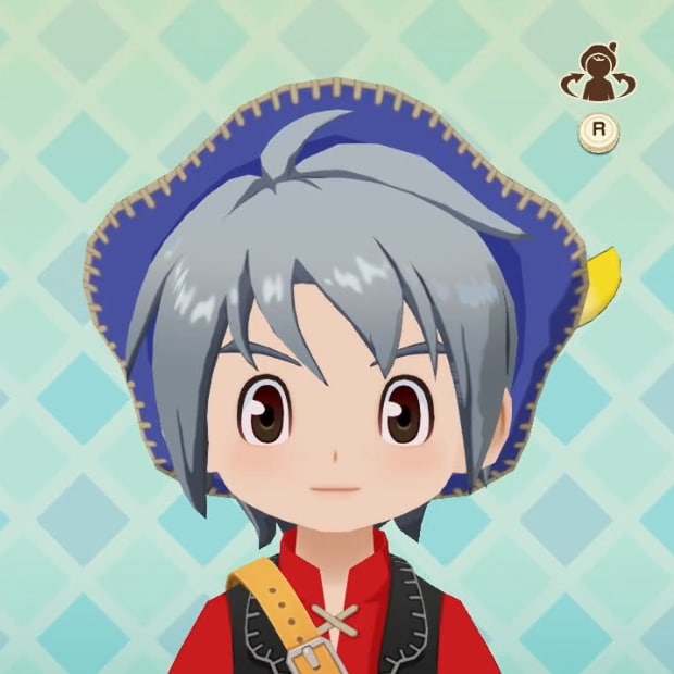 牧場物語 風のグランドバザールの髪色グレー
