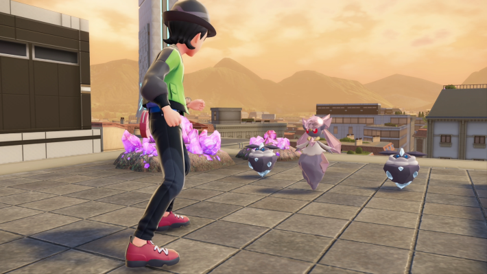 ディアンシーとメレシー2体と戦闘して捕獲する