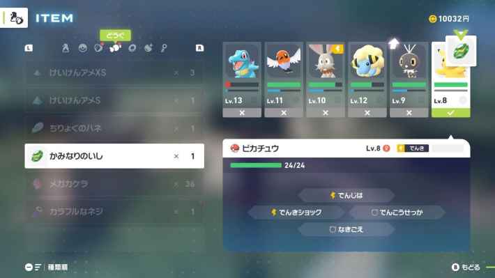 進化石使用画面