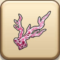 ピンク色のサンゴ